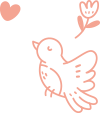 about-bird-icon